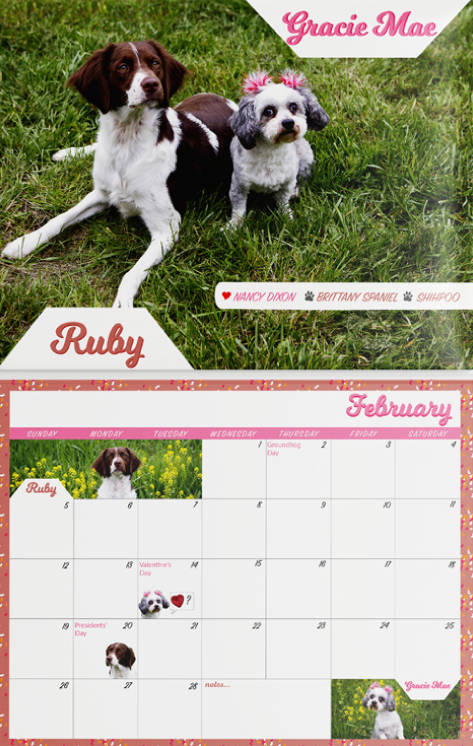 calendar mock up of the month of February for KPETS Pet Therapy, featuring two dogs at the top